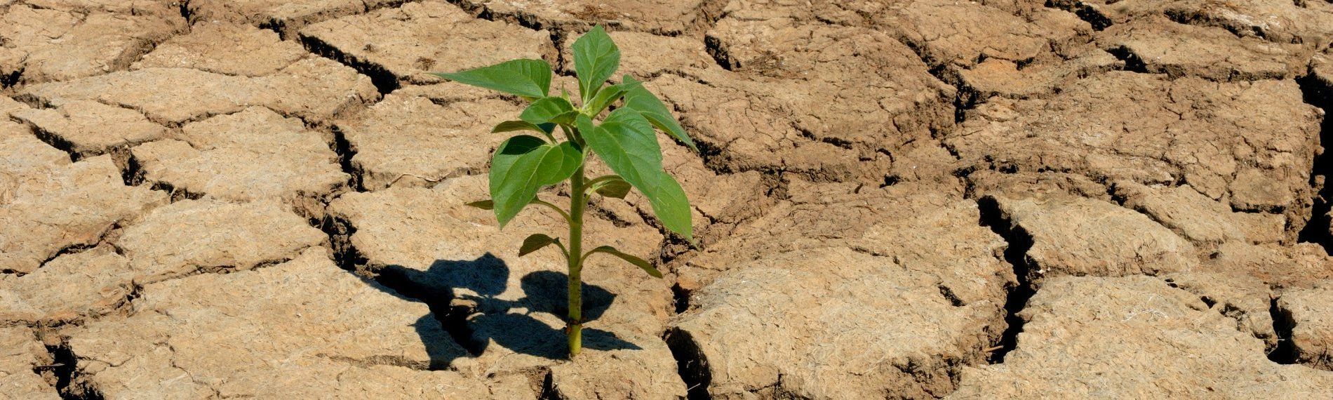 Environmental Water Requirements